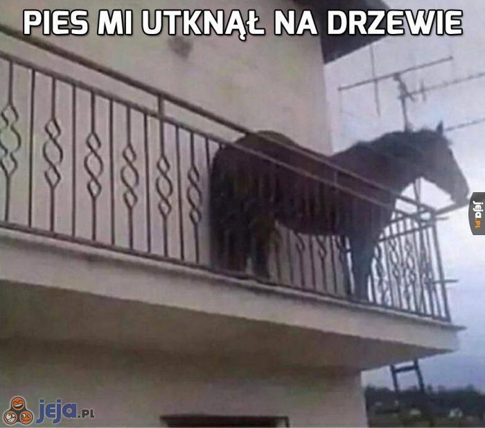 I co ja mam zrobić?