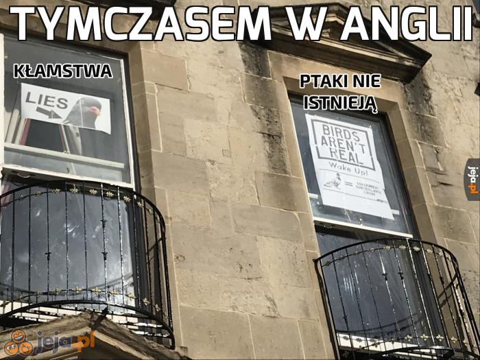 To chyba znaczy, że istnieją