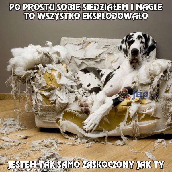 Po prostu sobie siedziałem i nagle to wszystko eksplodowało