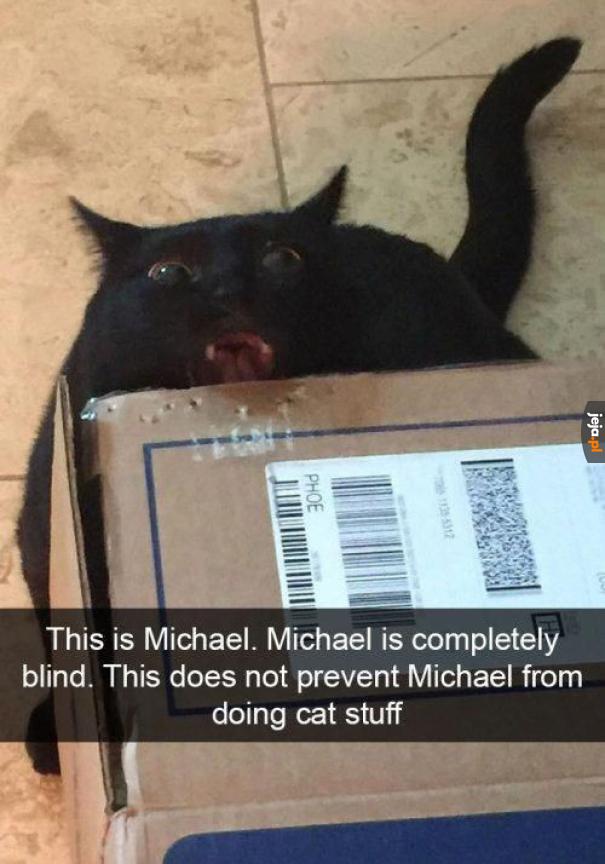 Michael zdecydowanie pozostał kotem