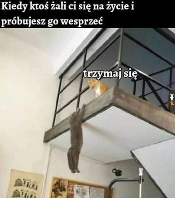 Powodzenia