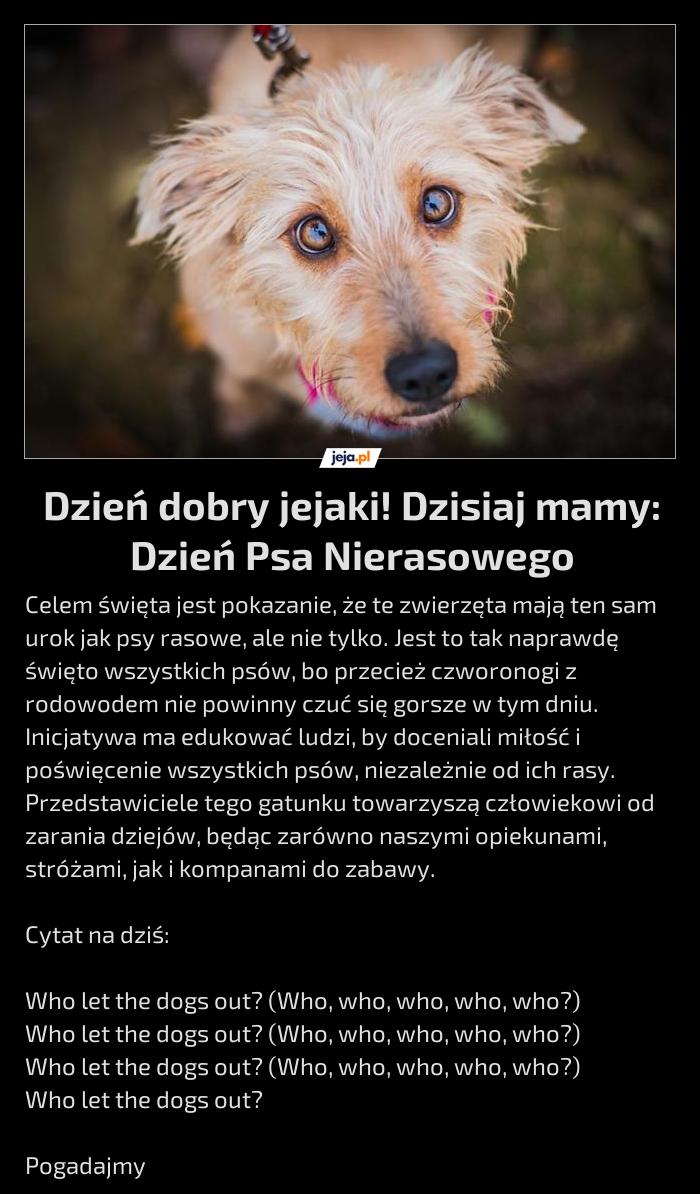 Dzień dobry jejaki! Dzisiaj mamy: Dzień Psa Nierasowego