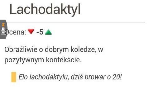 Język polski taki piękny
