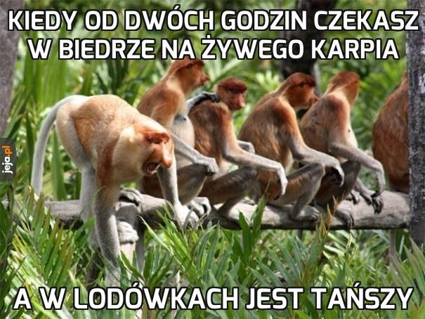 Odmrozim i będzie jak żywy