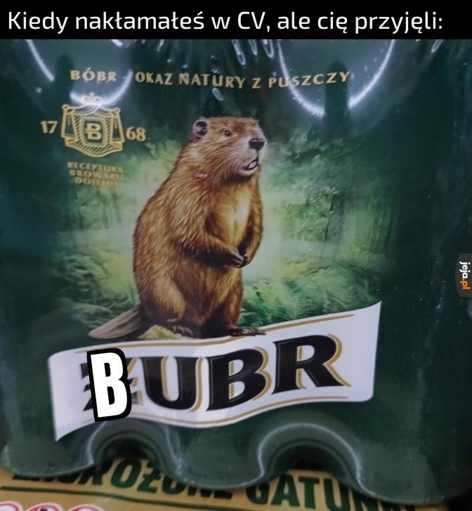 Bubr