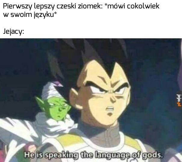 Czeski najlepszy język