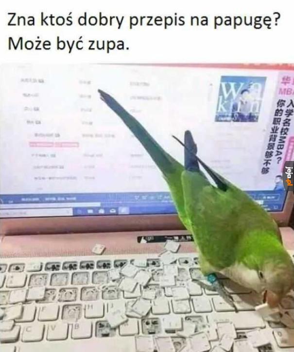Straciłem kontrolę