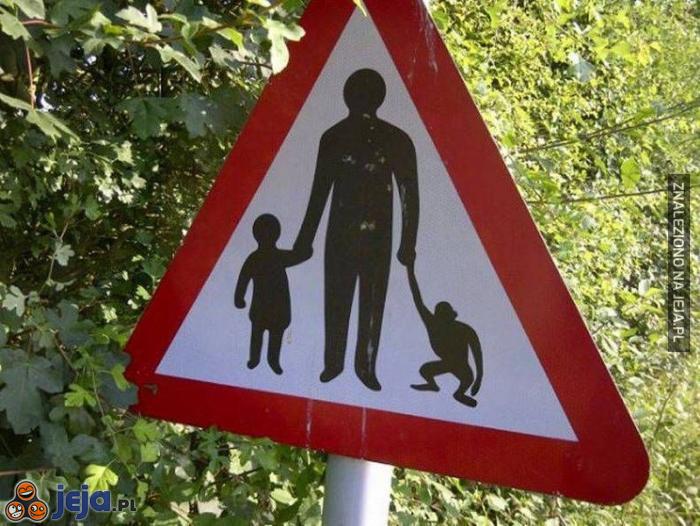 Uwaga, matki z dziećmi i... małpami