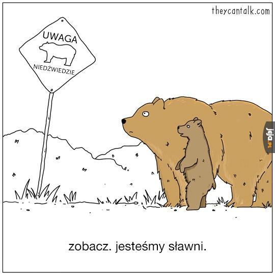 Uwaga niedźwiedzie