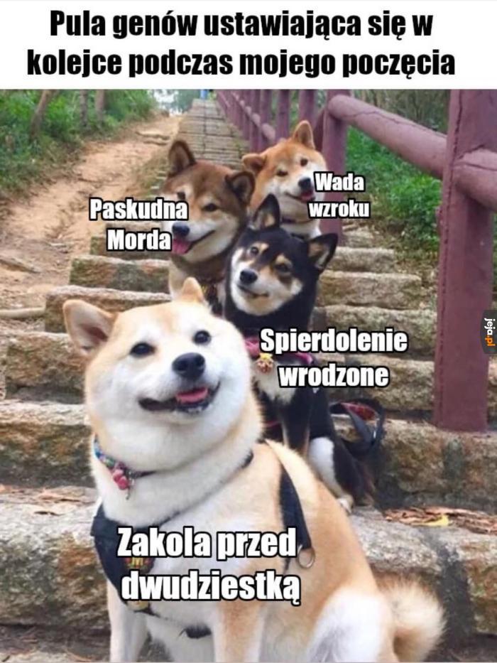Tak się żyje