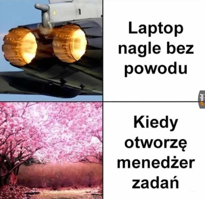Rel