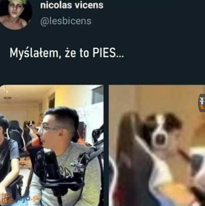 Ja nadal tak myślę