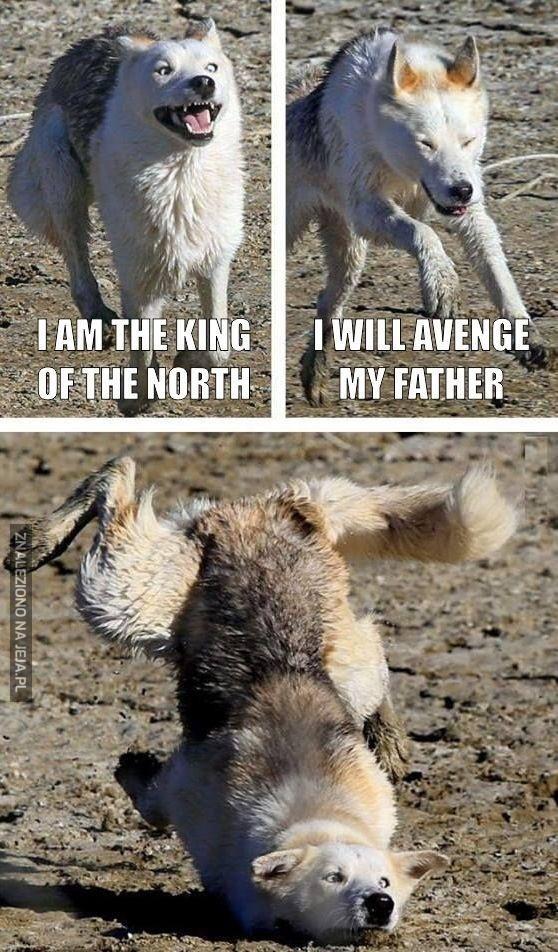 King of the north