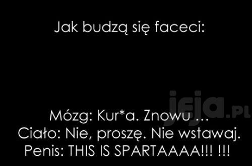 Jak budzą się faceci
