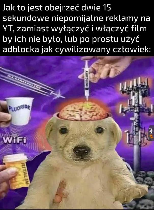 Ofiaruję swoją duszę wielkim korporacjom co dzień wieczór