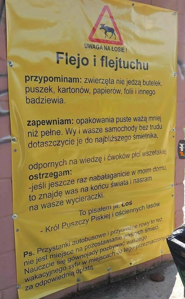 Wiadomość od łosia