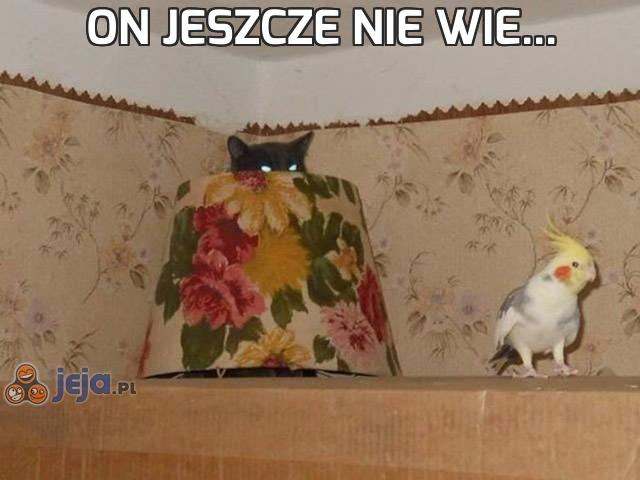 On jeszcze nie wie...