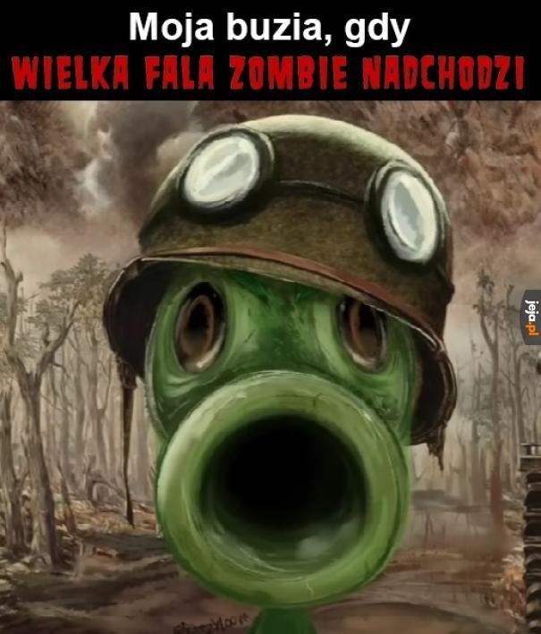 I tak codziennie... i co noc