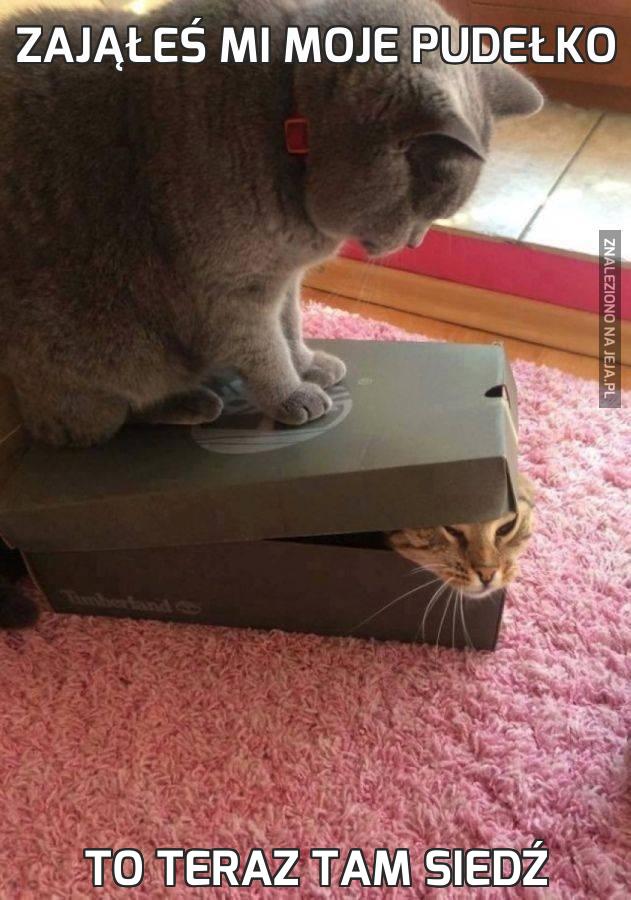 Zająłeś mi moje pudełko
