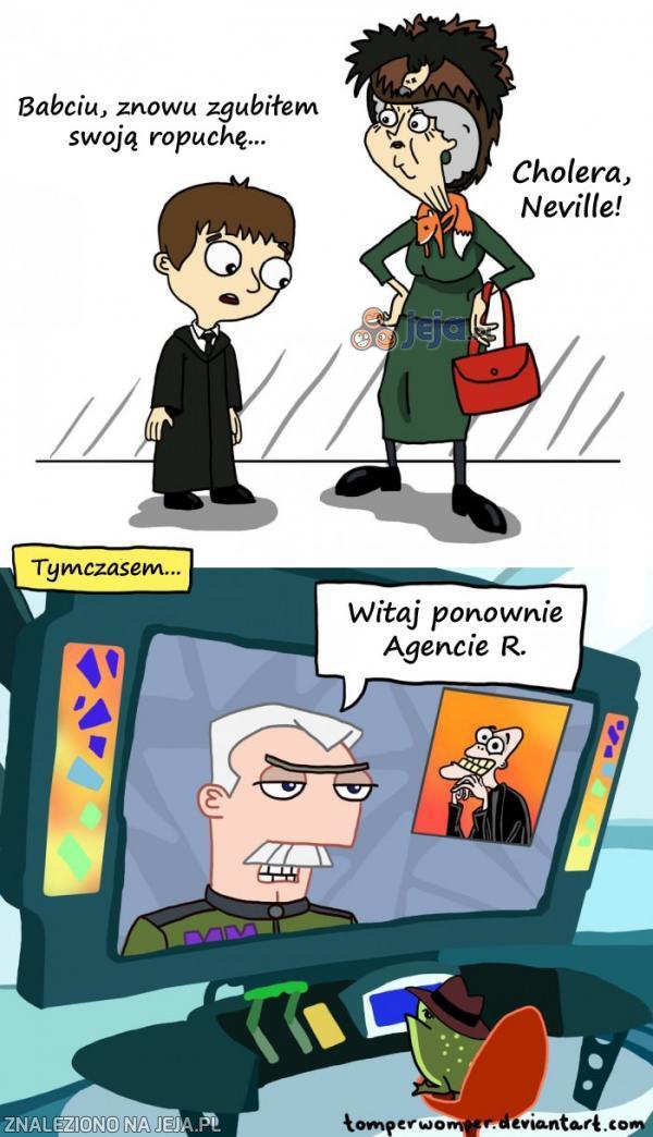 Gdzie się podziała ropucha Neville'a