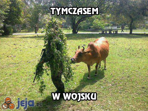 Tymczasem w wojsku