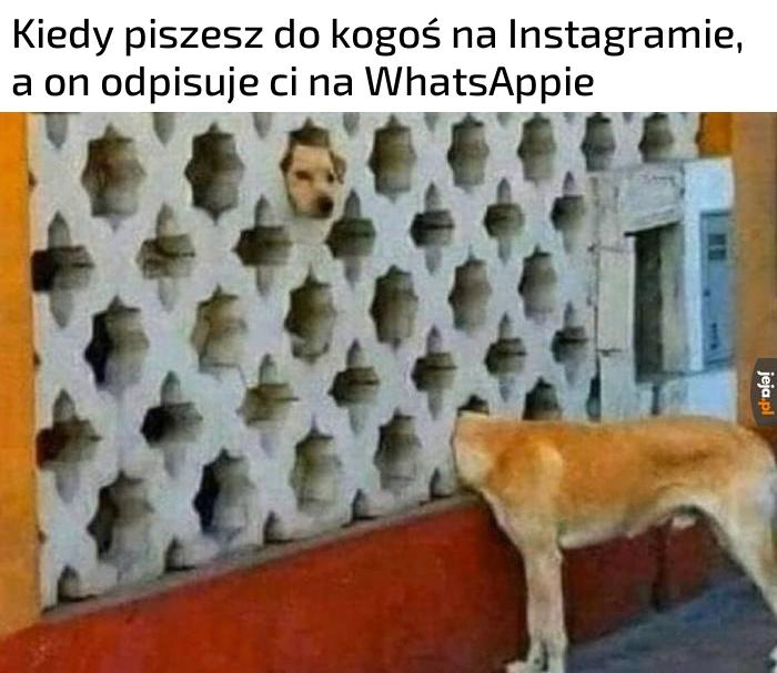 Niebywałe