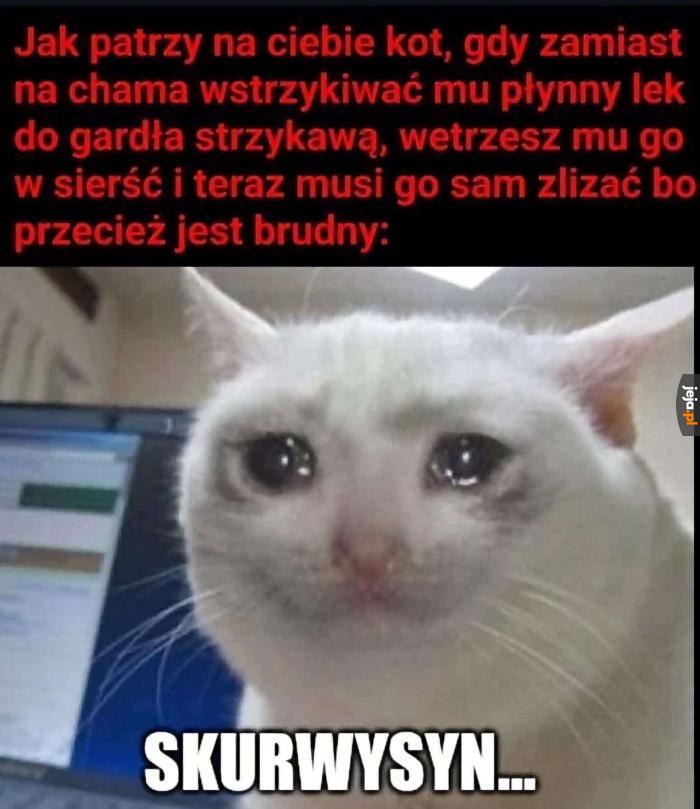 Status kota: ograny