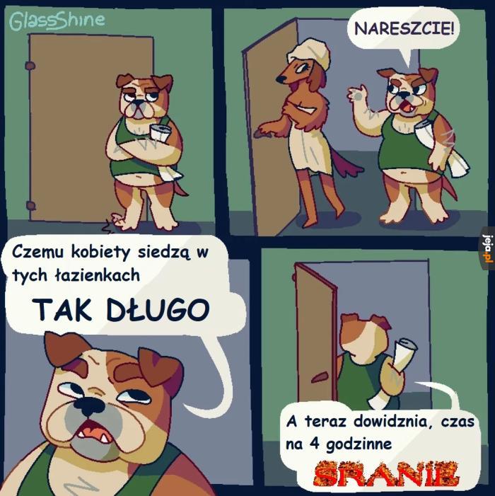 Sranie the game