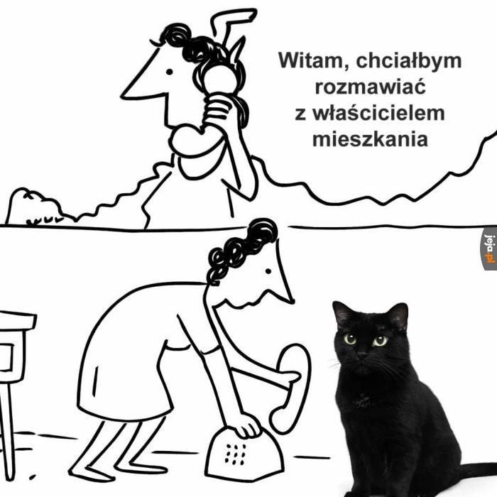 Do ciebie Azor