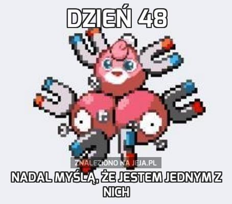 Dzień 48