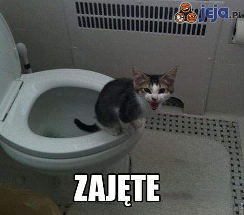 Zajęte!