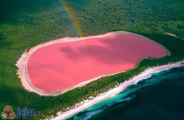 Różowe jezioro Hillier w Australii