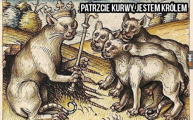Tak się zdobywa władzę