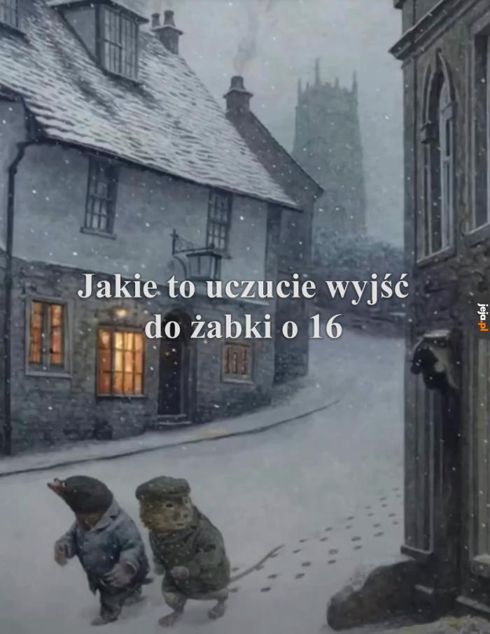 Mroźna pora