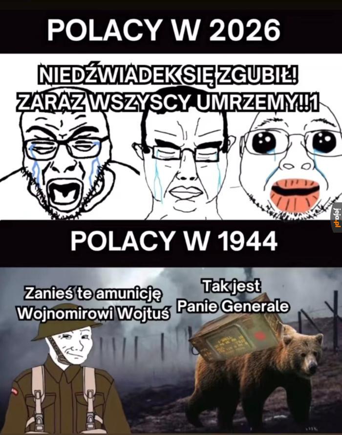 Grzeczny miś