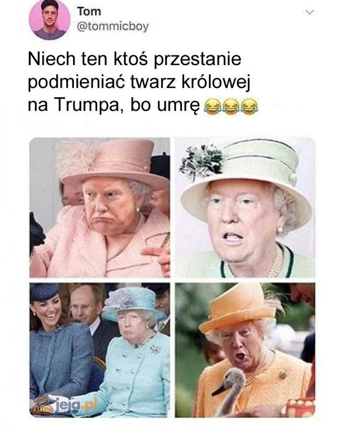 Królowa Trump
