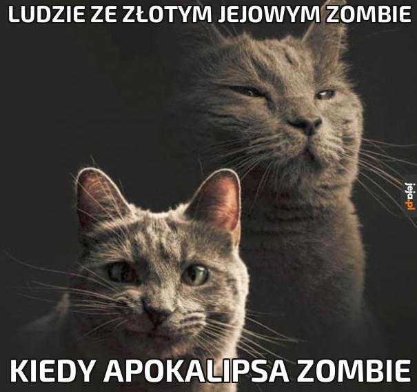 Oni przetrwają