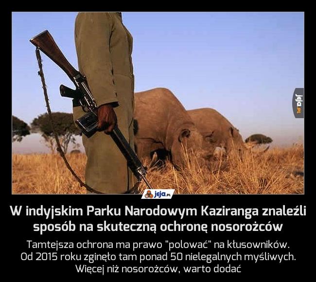 W indyjskim Parku Narodowym Kaziranga znaleźli sposób na skuteczną ochronę nosorożców