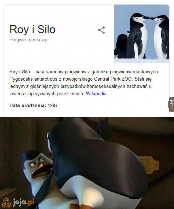 Kowalski, nachyl się