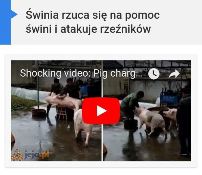 Role się odwróciły