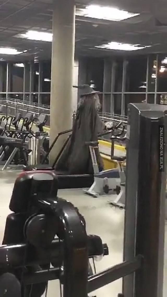 Gandalf na siłce