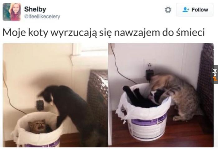 To mieszkanie jest za małe dla nas dwóch