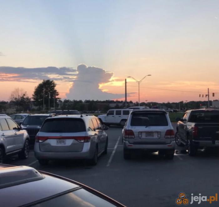 Niedźwiarygodne...