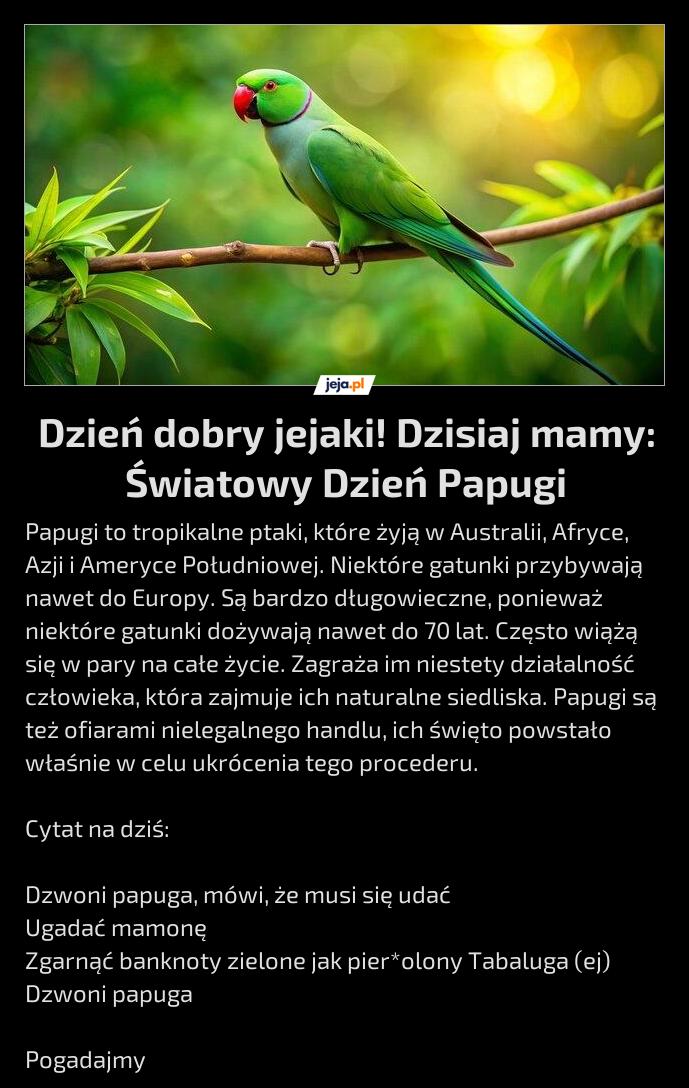 Dzień dobry jejaki! Dzisiaj mamy: Światowy Dzień Papugi