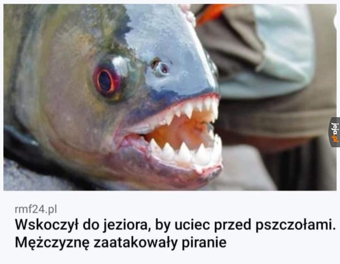 Myślałeś, że masz zły dzień?
