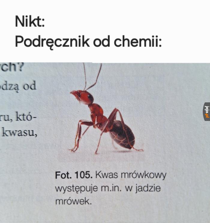 Szkoła bawi i uczy