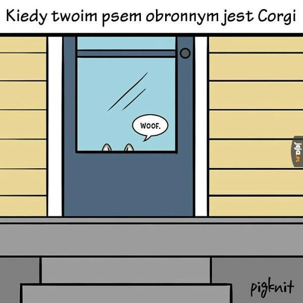 Strach się bać