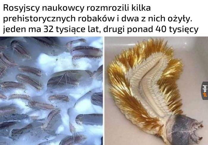 To zły pomysł