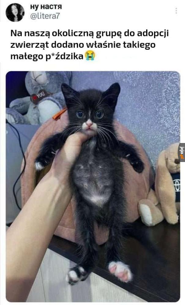 Takiego co?