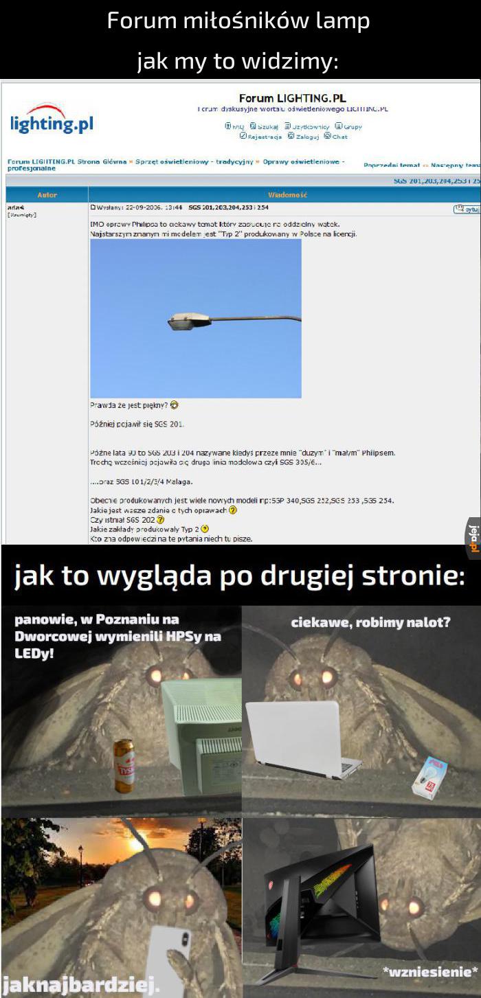 *trzepotanie skrzydeł*